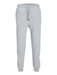Jack & Jones - Jpstgordon Bradley Sweat Pant Noos - Dressip&uuml;ksid - XXL