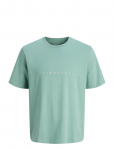 Jack & Jones - Jjestar Jj Tee Ss Noos - L&uuml;hikeste varrukatega - XXL