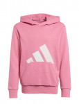 Adidas Sportswear - J Bl Ft Hd 280 - Kapuutsiga pusad - 176
