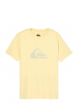 Quiksilver - Ev Comp Logo Ss Youth - L&uuml;hikeste varrukatega - 10