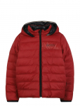 BOSS - Reversible Puffer Jacket - Tepitud ja polsterdatud - 138