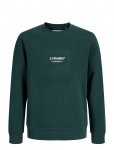 Jack & Jones - Jjesoho Sweat Crew Neck Sn Jnr - Dressipluusid - 140