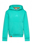Adidas Terrex - K Mc Mt Hoodie - Kapuutsiga pusad - 152