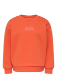 Kids Only - Kmgzenja Life L/S Boxy Pullover Bru Swt - Dressipluusid - 92