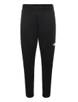 The North Face - M Mountain Athletics Fleece Pant 2.0 - Spordi treeningp&uuml;ksid - XL