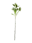 House Doctor - Artificial Branch, Hdligustrum, Gre - Kuivatatud ja kunstlilled - 15X70CM