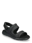 VF Sweden AB / Timberland - Backstrap Sandal - Madalad sandaalid - 36