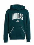 Adidas Sportswear - J Clgt Oh Fl Hd - Kapuutsiga pusad - 128