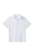 Calvin Klein - Ss Solid Seersucker Classic Shir - L&uuml;hikeste varrukatega s&auml;rgid - XS