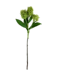 House Doctor - Artificial Flower, Hdskimmia, Green - Kuivatatud ja kunstlilled - 15X55CM