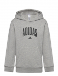 Adidas Sportswear - J Colleg Hd - Kapuutsiga pusad - 152