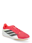 Adidas Performance - Predator Club In Sala - Spordi sisejalatsid - 45 1/3