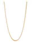 Lauren Ralph Lauren - Nk 16In Chain Collar- Gld - Kett-kaelakeed - ONE SIZE 40.64 cm