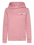 Gant - Reg Graphic Hoodie - Kapuutsiga pusad - L