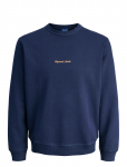 Jack & Jones - Jornorrebro Emb Sweat Crew Noos Jnr - Dressipluusid - 164