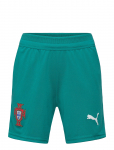 PUMA - Fpf Shorts Replica Jr - Spordi l&uuml;hikesed p&uuml;ksid - 176