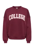 JDY - Jdymesa L/S O-Nk Emb Sweat Jrs Noos - Dressipluusid - M