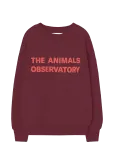 THE ANIMALS OBSERVATORY - Browned Farnet Leo Sweatshirt - Dressipluusid - 6 Y