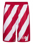 Hummel - Dbu 26 Fan Shorts - L&uuml;hikesed spordidressip&uuml;ksid - XXL