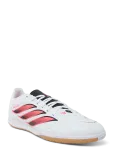 Adidas Performance - Predator Club In Sala - Spordi sisejalatsid - 44