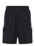 Adidas Performance - Lfc Tr Sho - Spordi l&uuml;hikesed treeningp&uuml;ksid - XS