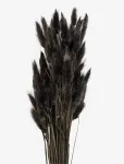 Cooee Design - Dried  Flowers Lagurus Ash - Dried Flowers - ONE SIZE
