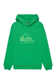 Quiksilver - Comp Logo Hoodie Youth - Kapuutsiga pusad - 164