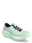 Asics - Gel-Cumulus 28 - Spordi jooksujalatsid - 43.5
