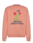 THE ANIMALS OBSERVATORY - Flowers Dusty Coral Bear Sweatshirt - Dressipluusid - 12 Y
