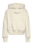 Abercrombie Kids - Po-Pull-Over Hoody - Kapuutsiga pusad - 155/159