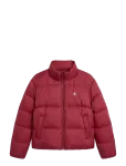 Calvin Klein Jeans - Essential Mw Short Down Puffer - Polsterdatud jakid - S