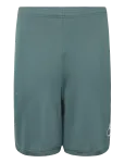 Nike - Nike Dri-Fit Acd25 Short Kp Br - Spordi l&uuml;hikesed treeningp&uuml;ksid - L