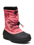 Helly Hansen - Jk Varanger Insulated - Talvesaapad jalgat&otilde;mmatavad - 31