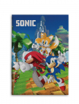 Sonic - Fleece Sonic - Son 023 - Tekid ja pleedid - 100X140CM