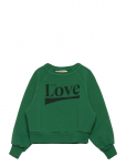 THE ANIMALS OBSERVATORY - Shark Kid Sweatshirt Green - Dressipluusid - 6 Y