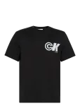 Calvin Klein Jeans - Ss 20S Ck Sport Logo Graphic Tee - L&uuml;hikeste varrukatega - XS