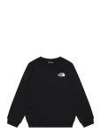 The North Face - Teen Evolution Box Nse Crew - Dressipluusid - S