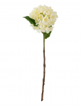 Bloomingville - Hydrangea Stem - Kuivatatud ja kunstlilled - H56CM
