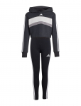 Adidas Sportswear - Jg 3S Tib Fl St - Dressikomplektid - 170