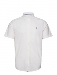 Original Penguin - Ss Oxford Strtch No Shirt - L&uuml;hikeste varrukatega - M