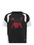 Adidas Performance - Lfc Tr Jsyy - Jalgpallis&auml;rgid - 176