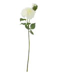 Bloomingville - Dahlia Stem - Kuivatatud ja kunstlilled - H64CM