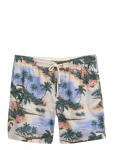 Gant - Reg Printed Ds Shorts - Vabaaja l&uuml;hikesed p&uuml;ksid - L