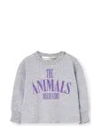 THE ANIMALS OBSERVATORY - Heck Baby Long Sleeve T-Shirt - Pikkade varrukatega T-s&auml;rgid - 68/74
