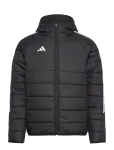 Adidas Performance - Tiro24 Wint Jkt - Spordi polsterdatud jakid - XL