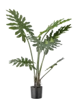 Bloomingville - Philodendron Plant - Kuivatatud ja kunstlilled - &Oslash; 13 cm