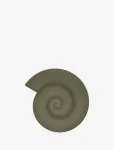 OYOY Living Design - Nautilus Trivet - Salvr&auml;tikur&otilde;ngad ja -hoidjad - 1.2X16.5X15CM