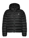 New Balance - Sport Essentials Hooded Puffer Jacket - Spordi polsterdatud jakid - XXL