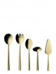 Aida - Raw 5 Pcs. Set Champagne Gold Color Coating - S&ouml;&ouml;giriistade komplektid - ONE SIZE