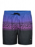 O'neill - O'neill Logo Stripe 16'' Swimshorts - Spordi ujumisp&uuml;ksid - L